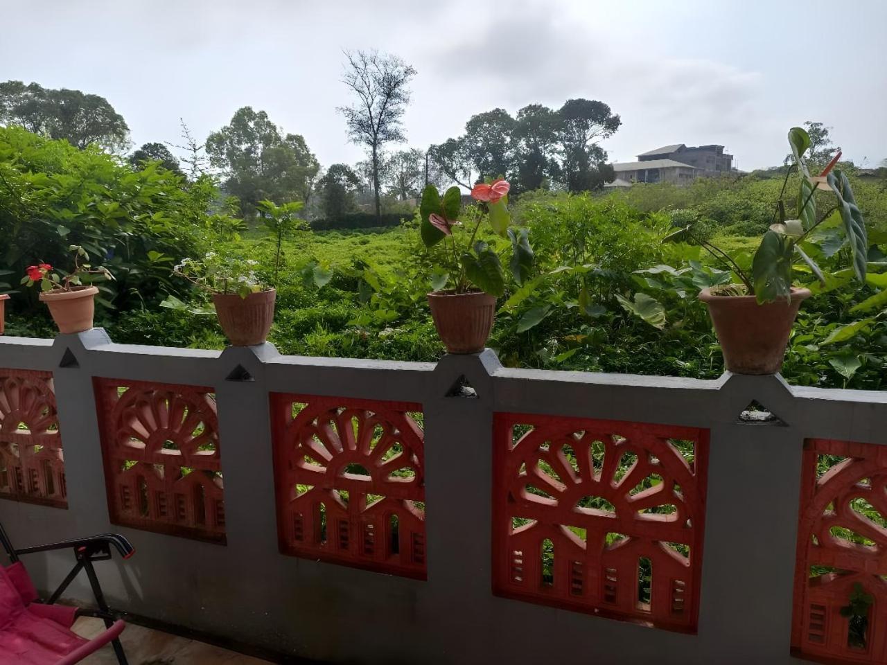 Misty Haven Homestay 马迪凯里 外观 照片