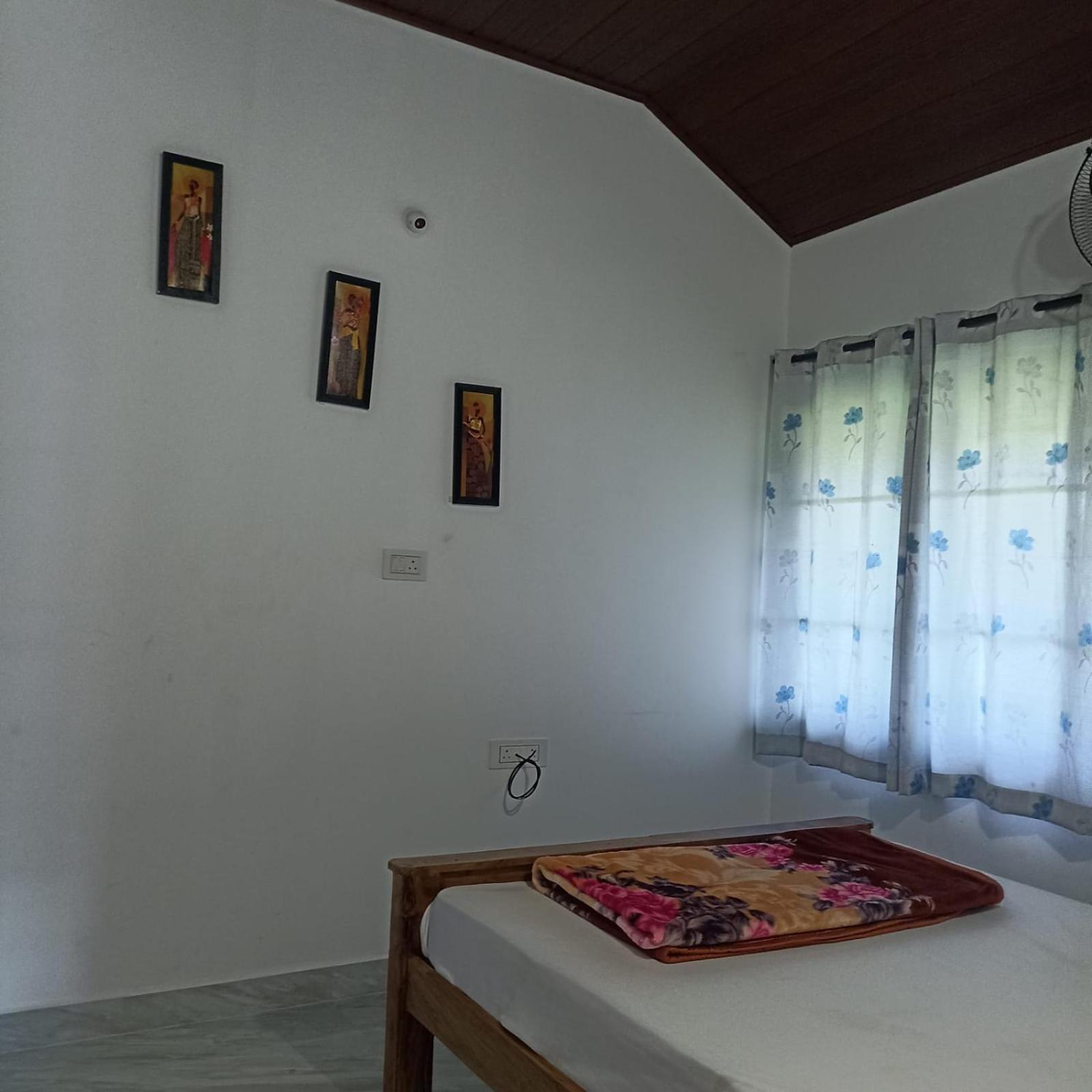 Misty Haven Homestay 马迪凯里 外观 照片